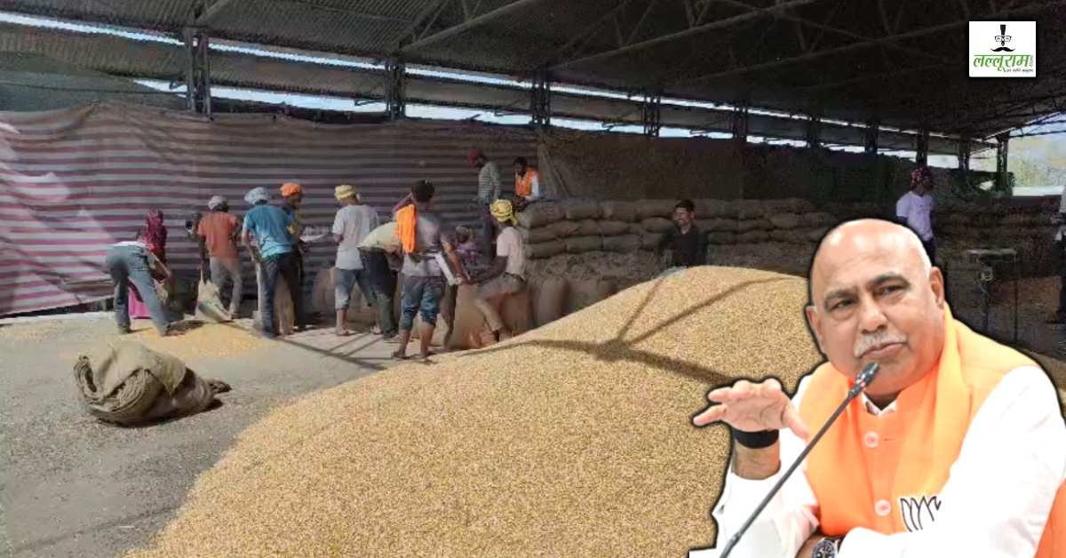 ‘मिडिल ईस्ट युद्ध की वजह से गेहूं खरीदी में देरी’, MP की मंडियों में बढ़ रही गेहूं की आवक, सवालों के बीच बीजेपी प्रदेश अध्यक्ष का सामने आया बड़ा बयान