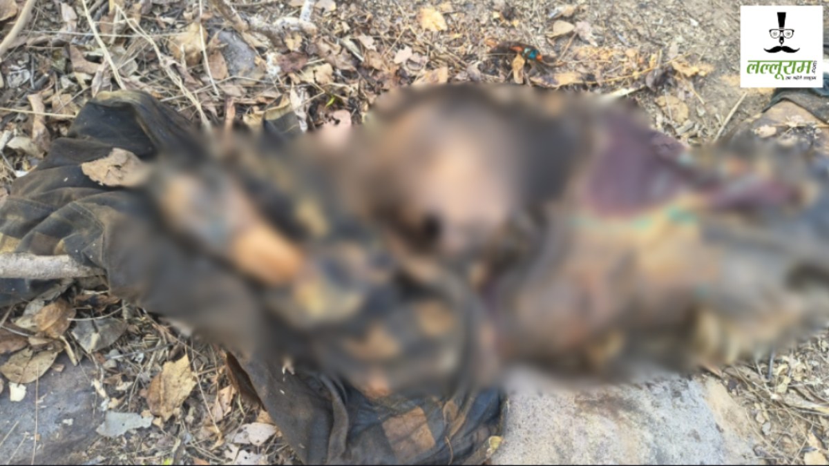 CG Crime News : जगल में मिली सड़ी गली लाश, इलाके में फैली सनसनी 