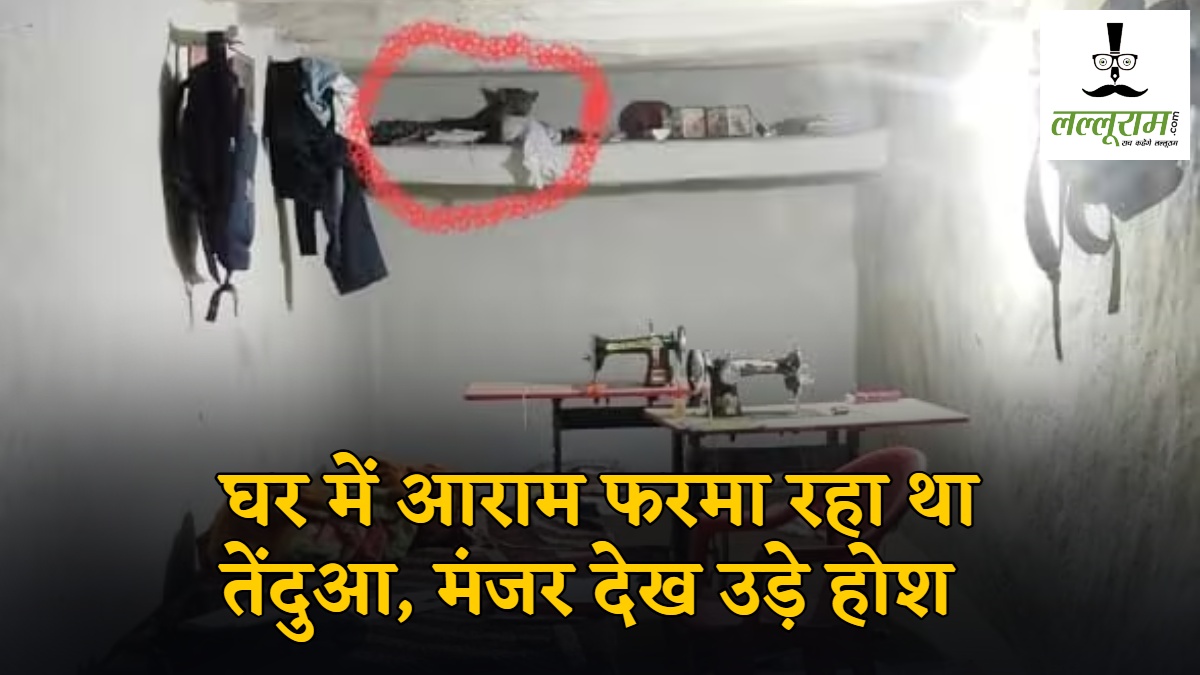 भागो… घर में आराम फरमा रहा था तेंदुआ, मंजर देख उड़े होश, जान बचाकर भागे ग्रामीण