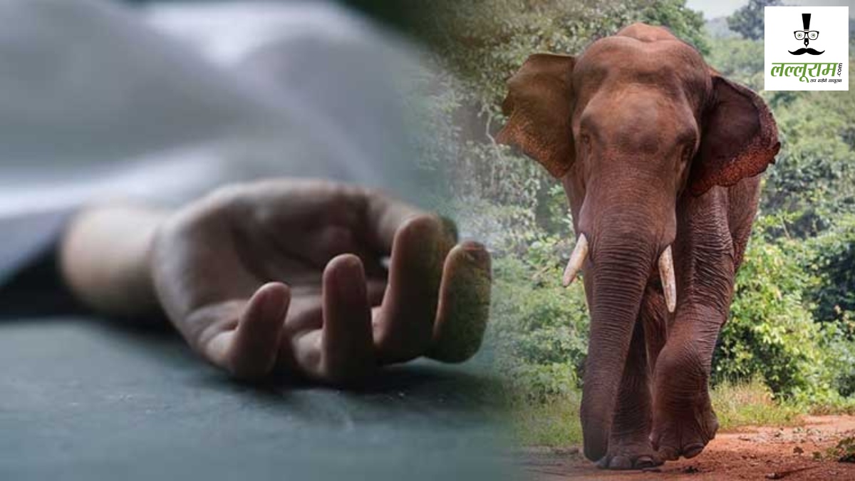 CG News : महुआ बीनने गए ग्रामीण को हाथी ने उतारा मौत के घाट, क्षेत्र में दहशत