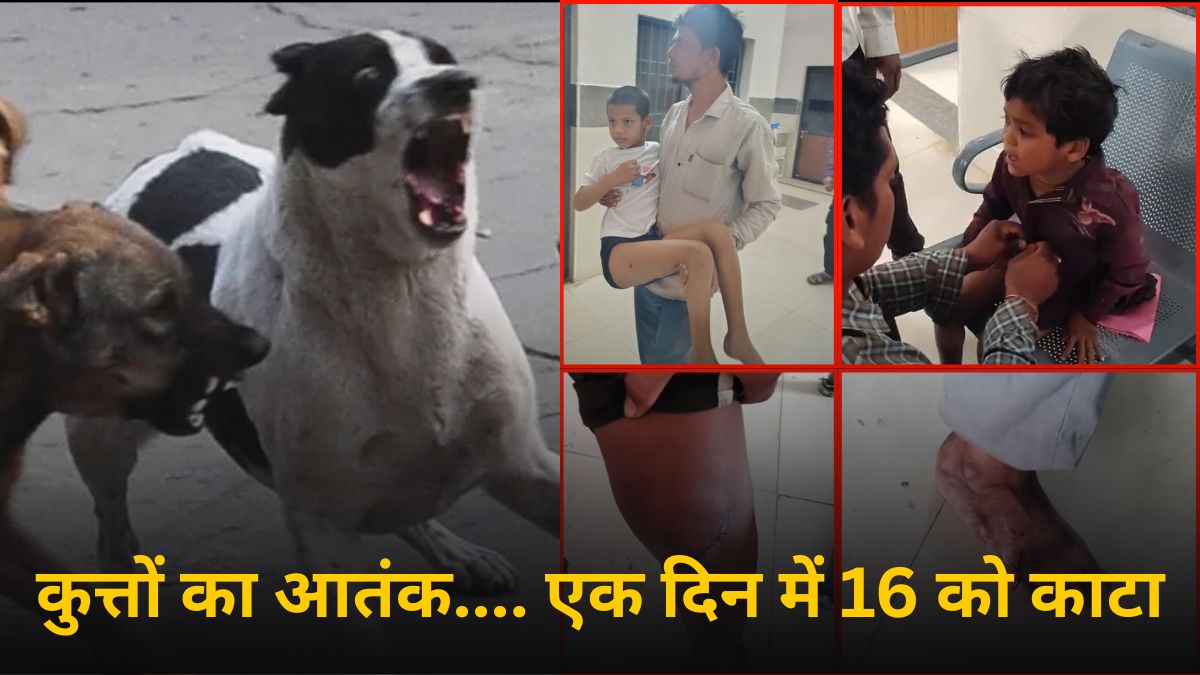 आवारा कुत्तों का आतंक: एक ही दिन में कई लोगों पर किया हमला, बच्चों समेत 16 पहुंचे अस्पताल