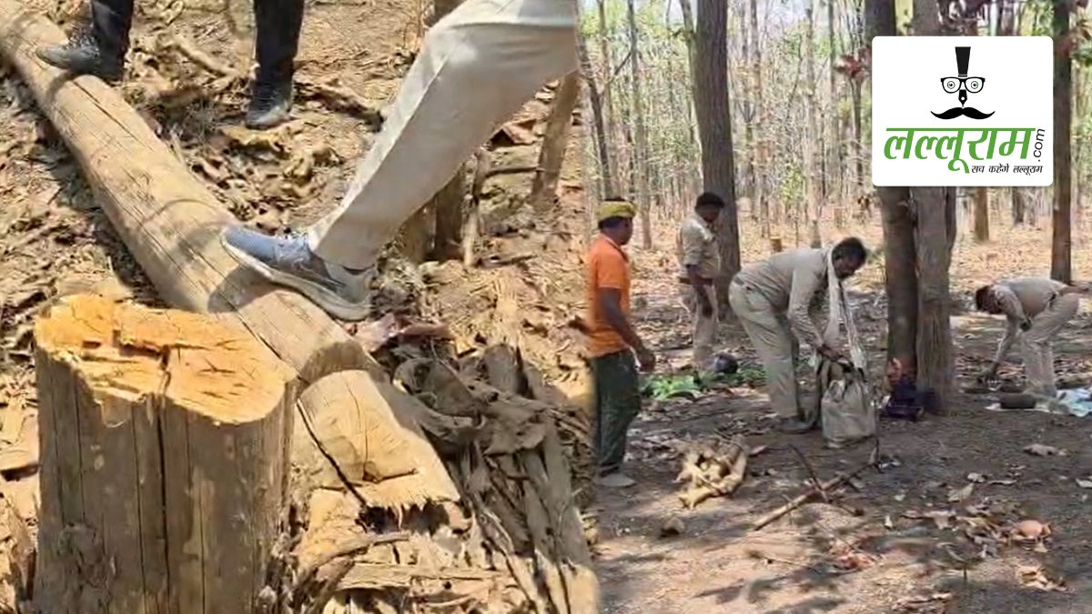 जंगल में चला आरा, सोते रहे जिम्मेदार… सागौन-साल समेत 122 पेड़ों की अवैध कटाई से मचा हड़कंप, वन विभाग की भूमिका पर उठे सवाल