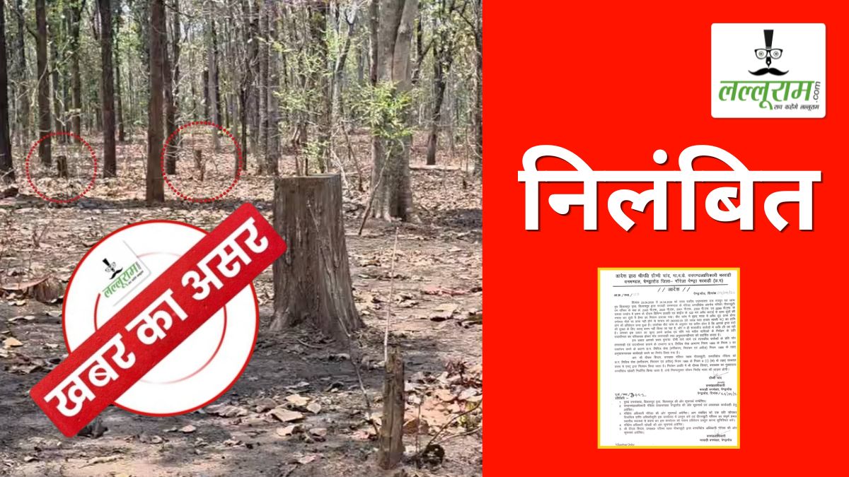 खबर का असर: अवैध कटाई मामले में वन विभाग ने लिया संज्ञान, बीट गार्ड को किया निलंबित, रेंजर और डिप्टी रेंजर पर भी गिर सकती है गाज