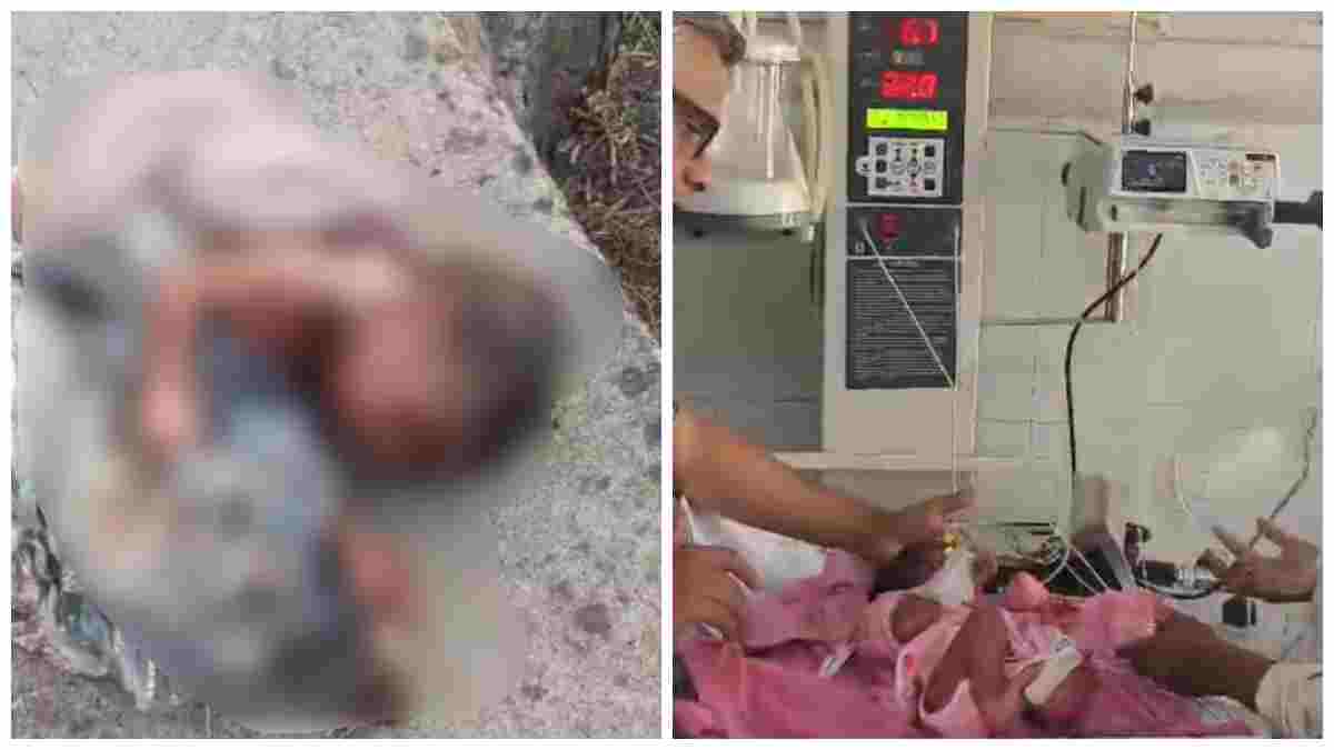 मानवता हुई शर्मसार: झाड़ियों में रोता मिला नवजात शिशु, आवाज सुन ग्रामीणों ने बचाई जान