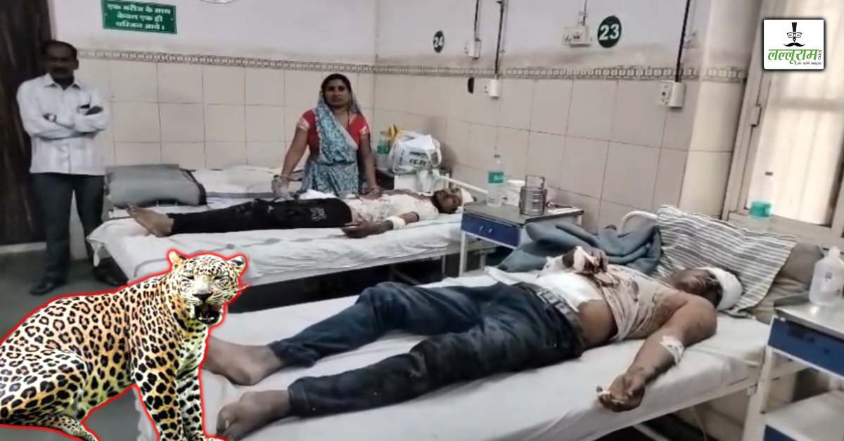 धार में तेंदुए का आतंक: महिला समेत चार लोगों पर किया अटैक, दहशत में ग्रामीण