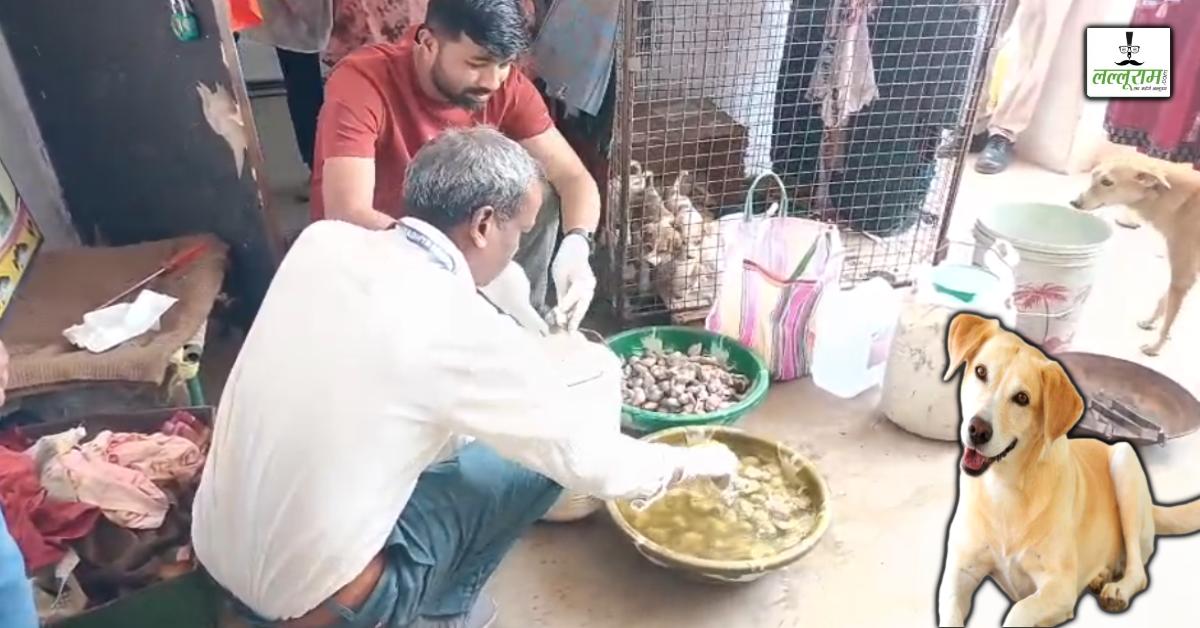 कुत्तों की नसबंदी के नाम बड़ा खेल: मंडला में बेजुबानों के ऑर्गन मिलने से सनसनी, पशु प्रेमी ने लगाए गंभीर आरोप