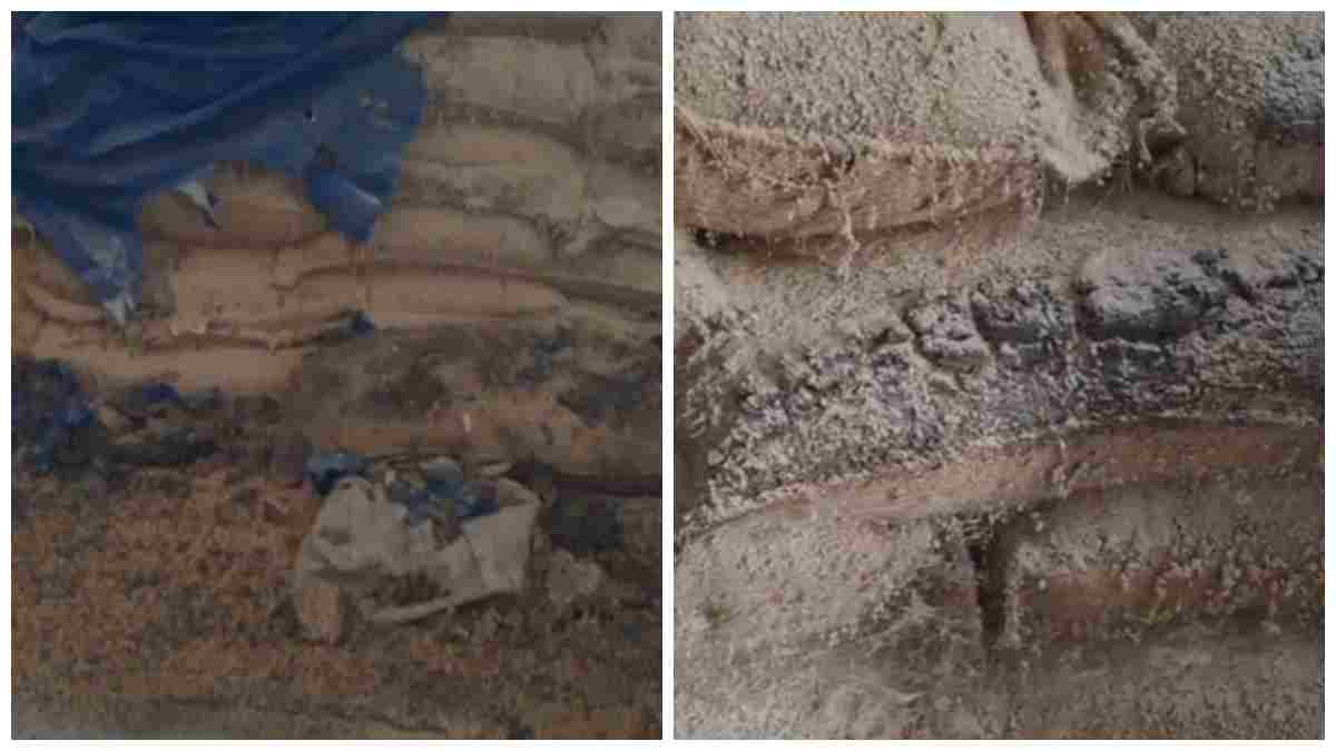 वेयरहाउस में सड़ा करोड़ों का गेहूं: सरकारी लापरवाही से हजारों मेट्रिक टन अनाज बर्बाद , जिम्मेदार कौन ?