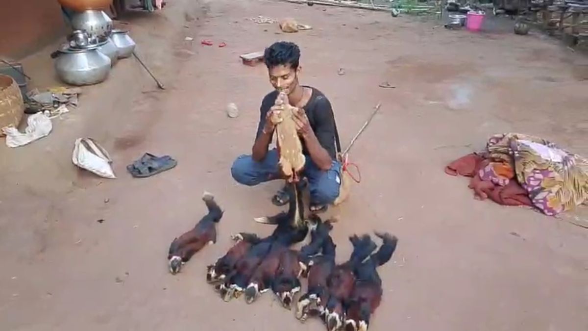 खुद ही फंसा शिकारी! दुर्लभ गिलहरी का शिकार करने वाला आरोपी गिरफ्तार, सोशल मीडिया बना सबूत