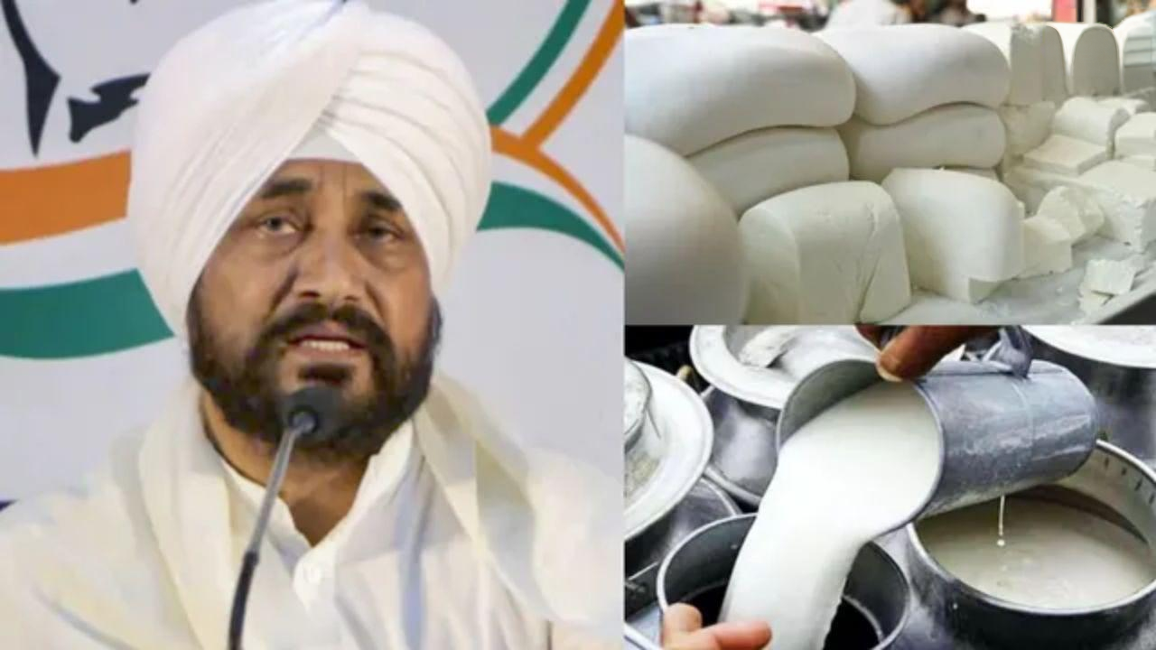 नकली दूध वीडियो विवाद: सांसद चरणजीत चन्नी के खिलाफ शिकायत, दोधी यूनियन का प्रदर्शन