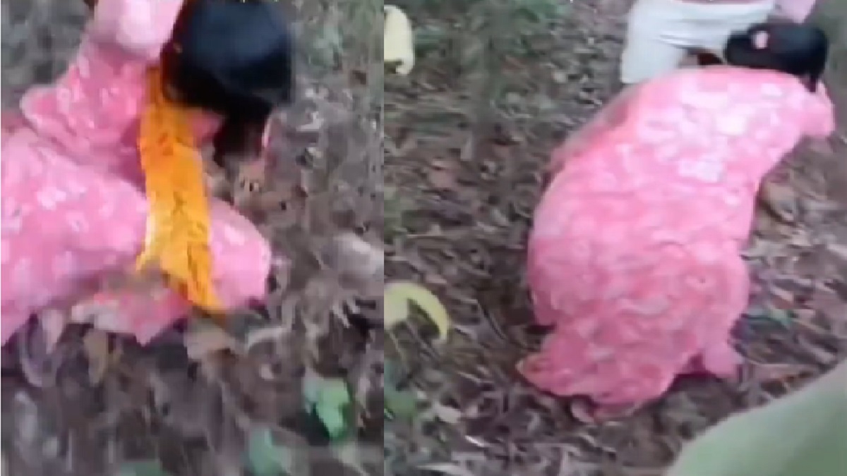 बिहार में प्रेमिका के साथ बदसलूकी का VIDEO वायरल, मौके से फरार हुआ प्रेमी युवक