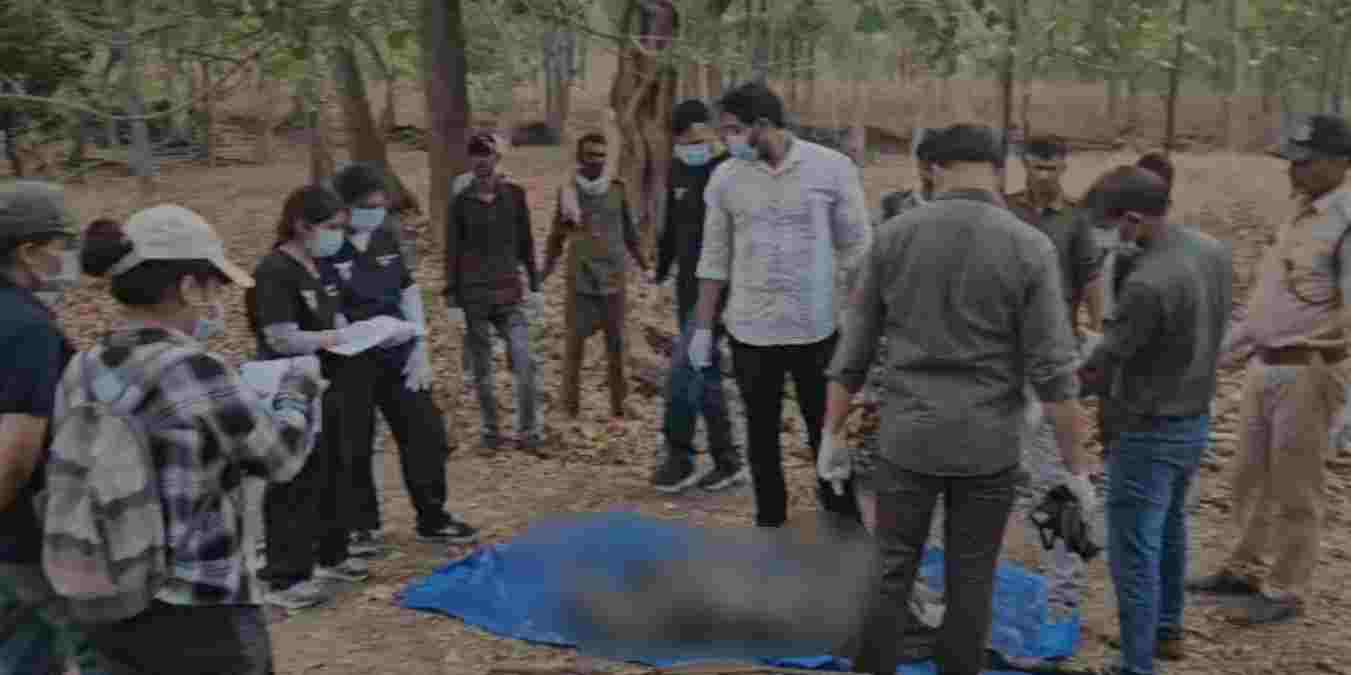 कान्हा टाइगर रिजर्व में एक और बाघ शावक की गई जान: एक महीने में तीसरी मौत, प्रबंधन की सुरक्षा व्यवस्था पर उठे सवाल 