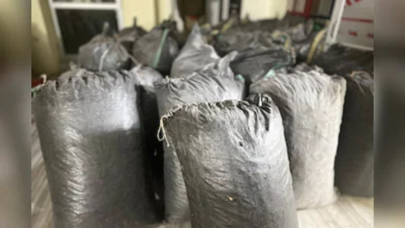 Rajasthan News: राजस्थान में ANTF की मेगा स्ट्राइक, 7 जिलों में ताबड़तोड़ एक्शन, हजारों अफीम के पौधे उखाड़े; गुजरात का मोस्ट वांटेड गिरफ्तार