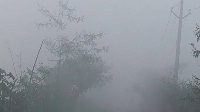 Rajasthan Weather Update: राजस्थान में कुदरत का कहर, ओलों की बिछी सफेद चादर; अगले 48 घंटे भारी