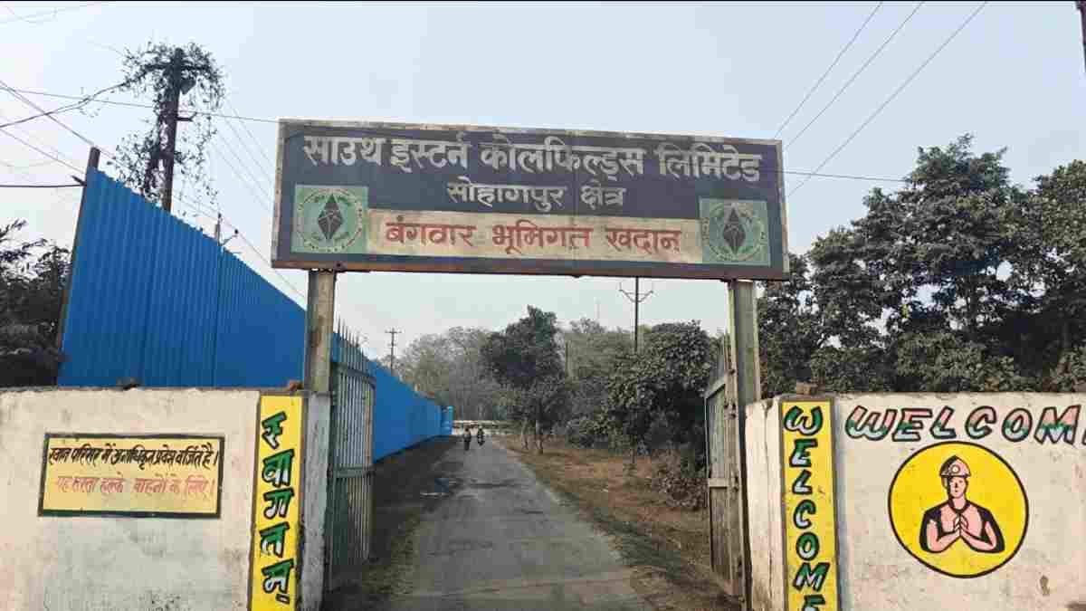 SECL में लापरवाही की कीमत मौत! मेंटेनेंस के दौरान बिजली पोल से गिरने पर मजदूर की गई जान, सुरक्षा पर उठे सवाल 