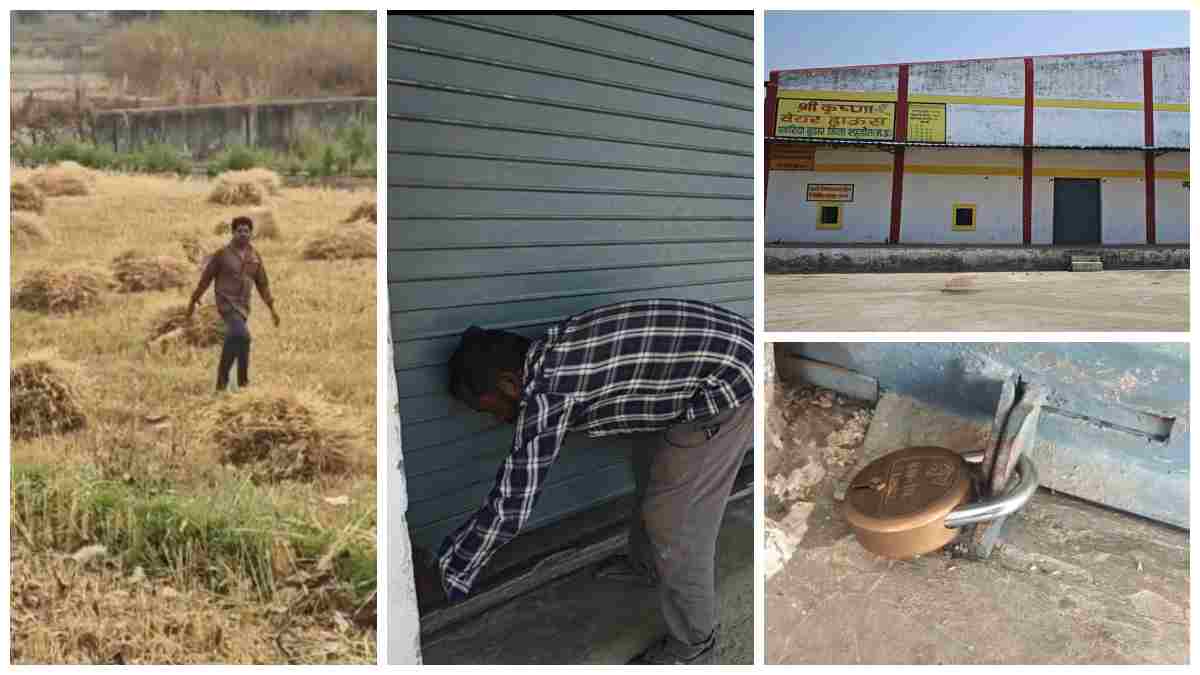 समर्थन मूल्य पर गेहूं खरीदी की हकीकत: शहडोल में सूने केंद्र, ताले और अव्यवस्थाओं ने खोली पोल, किसान नहीं दिखा रहे रुचि 