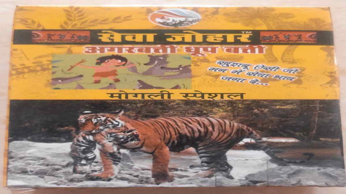 नारी शक्ति वंदन… सिवनी की बेटी रंजीता के स्टार्ट-अप ने किया कमाल, अगरबत्ती उद्योग में 10 महिलाओं को दिया रोजगार और 25 लाख का टर्नओवर