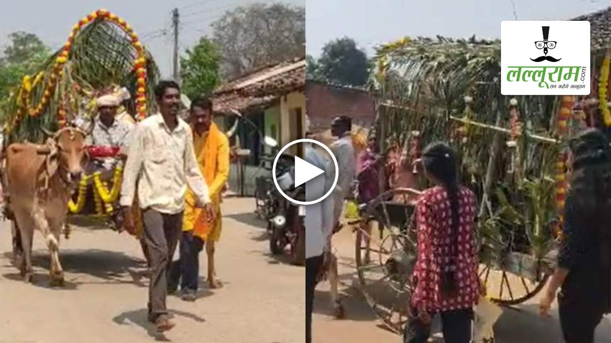 दौर लग्जरी कारों का, लेकिन युवक ने देसी अंदाज में निकाली बैलगाड़ी वाली बारात, सादगी ने जीता सभी का दिल, देखें वायरल VIDEO