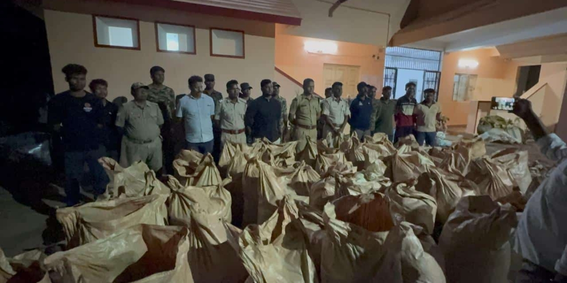 गजपति पुलिस की बड़ी कार्रवाई: जंगल से 2.8 टन गांजा बरामद, कीमत 3 करोड़