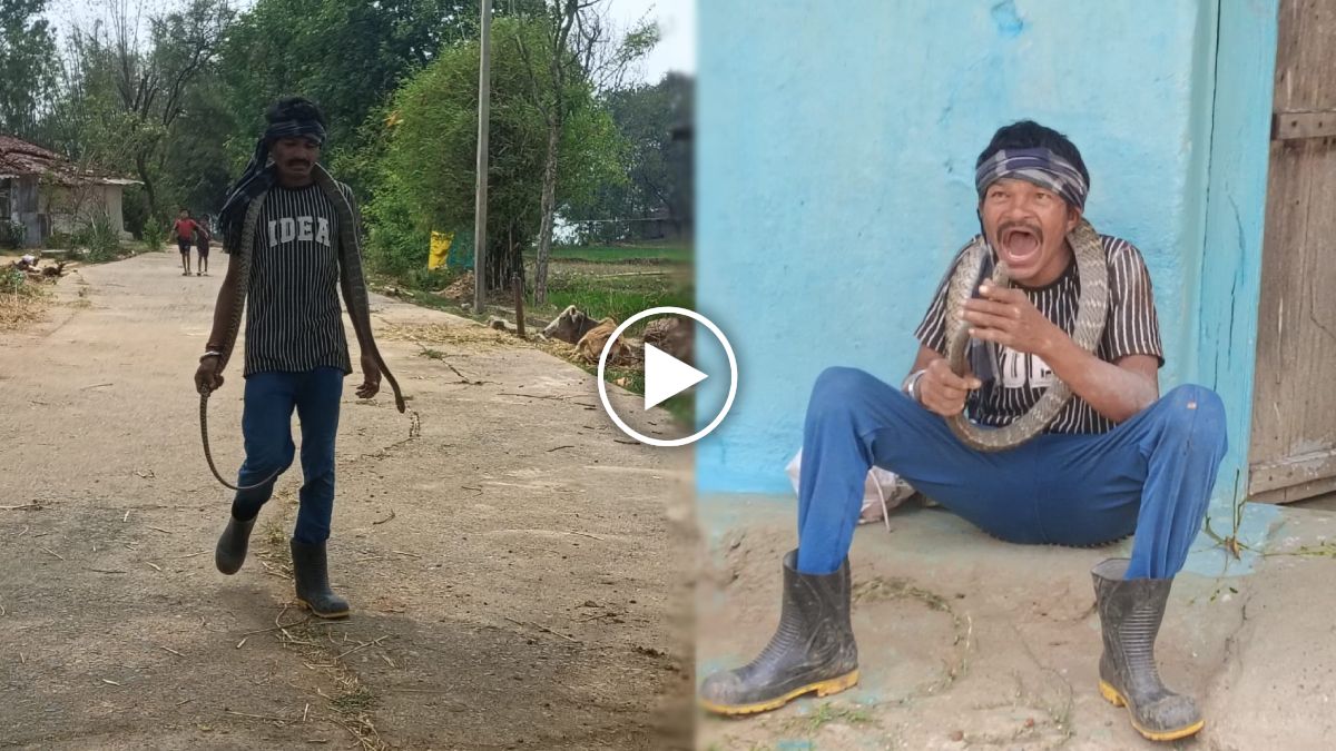 OMG : युवक ने अपने गले में डाला सांप, फिर सिर को मूंह में डाला, वीडियो वायरल …