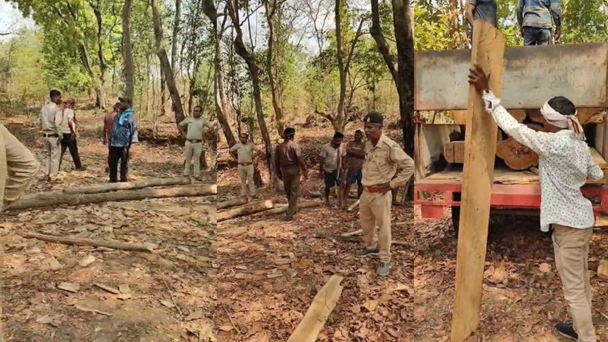 वन विभाग की बड़ी कार्रवाई, जंगल में दबिश देकर लाखों की अवैध चिरान लकड़ी की जब्त, दो आरोपी गिरफ्तार