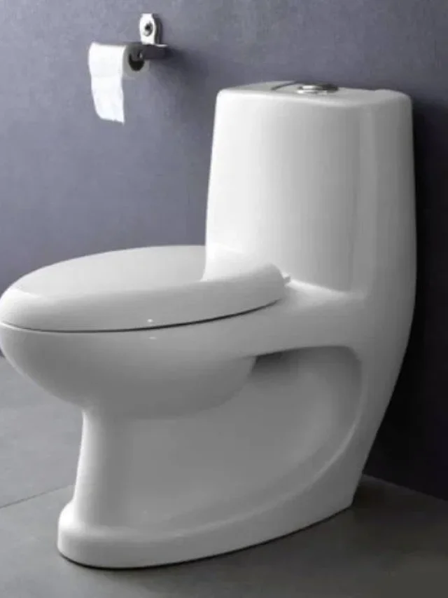 टॉयलेट की पूजा क्यों करते हैं इस देश में रहने वाले लोग? जाने वजह