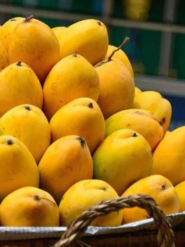 भारत के इस शहर को कहा जाता है Mango City Of India