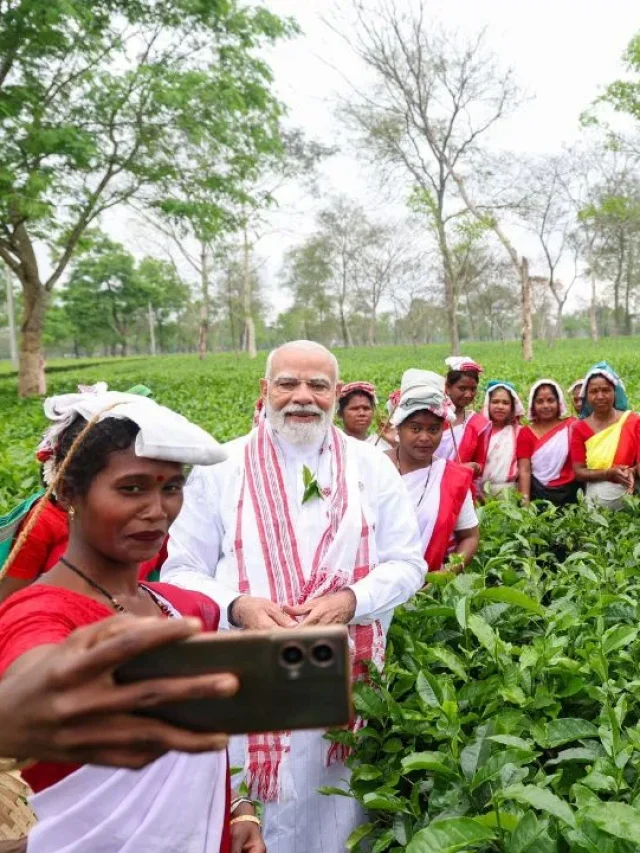 असम के चाय बागान पहुंचे PM मोदी, महिलाओं के साथ तोड़ी पत्तियां और सेल्फी भी खिंचवाई