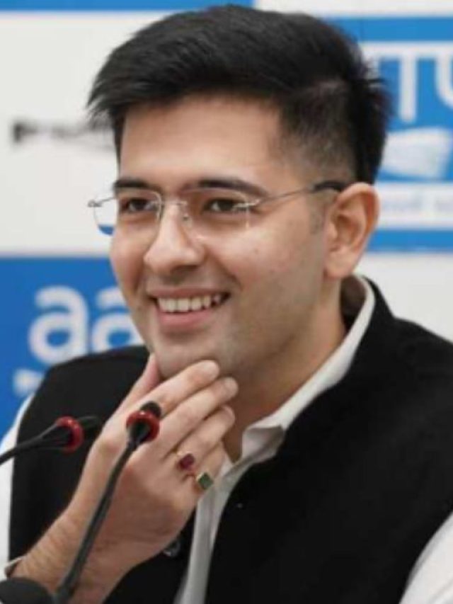 Raghav Chadha: कैसे मिलती है Z सिक्योरिटी, इसके लिए कितना पैसा करना होता है खर्च?