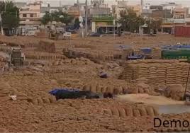 शाहाबाद अनाज मंडी हादसा: 700 बोरियों के नीचे दबकर महिला मजदूर की मौत, सुरक्षा पर उठे सवाल