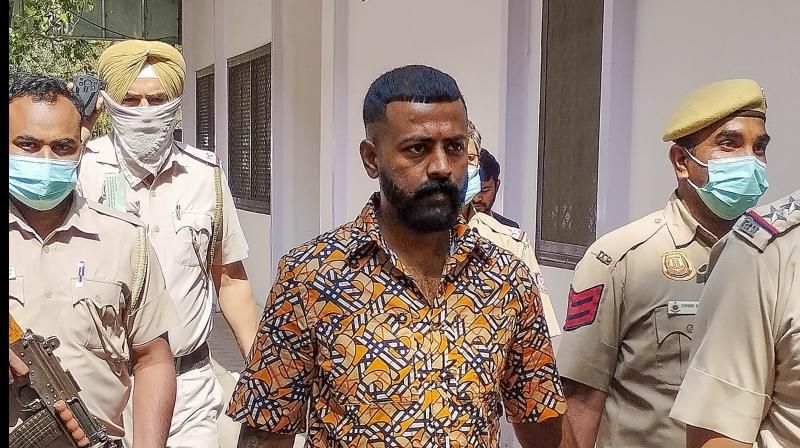 उचित अवधि से ज्यादा जेल में रखा जा रहा है…. ठग सुकेश चंद्रशेखर को मिली जमानत, अदालत बोली- यह अधिकारों का उल्लंघन