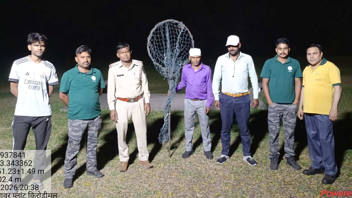 जिंदल कालोनी के पास दिखा तेंदुआ! सोशल मीडिया में वीडियो के वायरल होने के बाद सर्चिंग में जुटा वन विभाग…