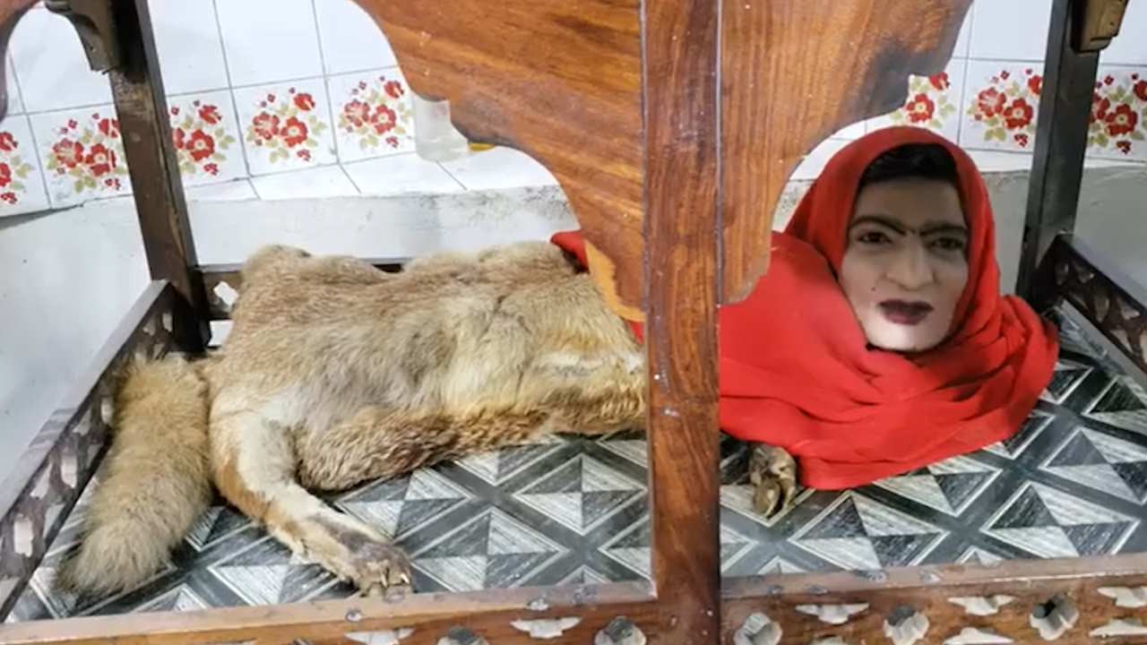 ऐसा न देखा, न सुना होगा! ऐसा अजूबा केवल पाकिस्तान के कराची चिड़ियाघर में मिलेगा, नाम है ‘मुमताज बेगम’