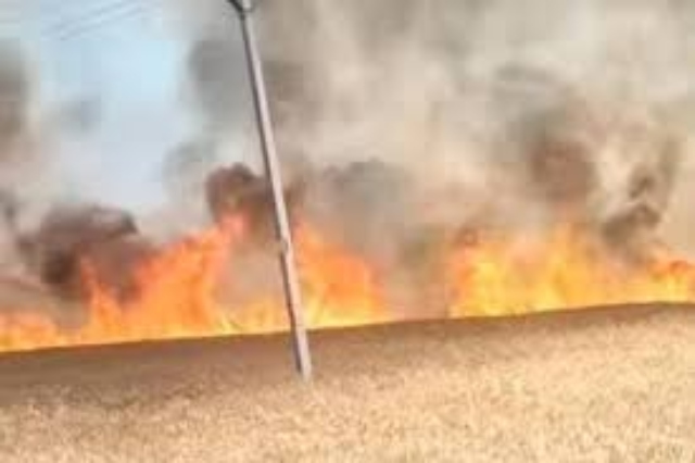 पिहोवा में भीषण आग: कंबाइन की चिंगारी से 15 एकड़ गेहूं की फसल राख, किसानों को भारी नुकसान