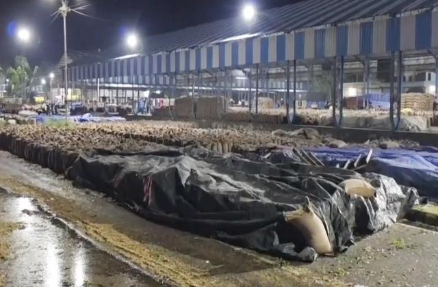 हरियाणा में सक्रिय पश्चिमी विक्षोभ से बदला मौसम, बारिश-ओलावृष्टि से फसलों को नुकसान