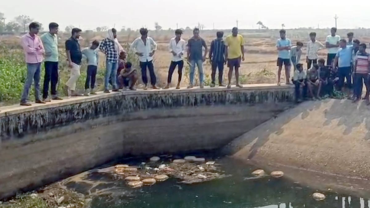 नहर में बह रहा था गांजा!, एक के बाद एक 17 पैकेट किए पुलिस ने बरामद…