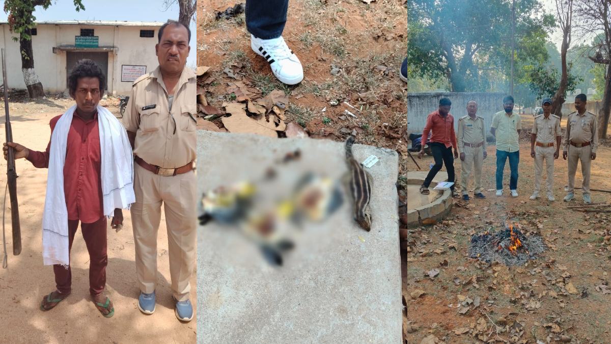 वन्यजीवों के शिकार का पर्दाफाश: चिड़िया और गिलहरी के साथ 5 आरोपी गिरफ्तार, हथियार जब्त