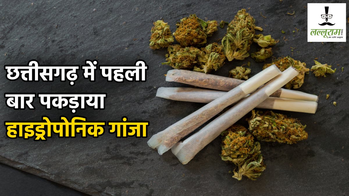 CG Crime News : छत्तीसगढ़ में पहली बार पकड़ाया हाइड्रोपोनिक गांजा, बेचने की फिराक में ग्राहक तलाश रहे 2 तस्करों को पुलिस ने किया गिरफ्तार