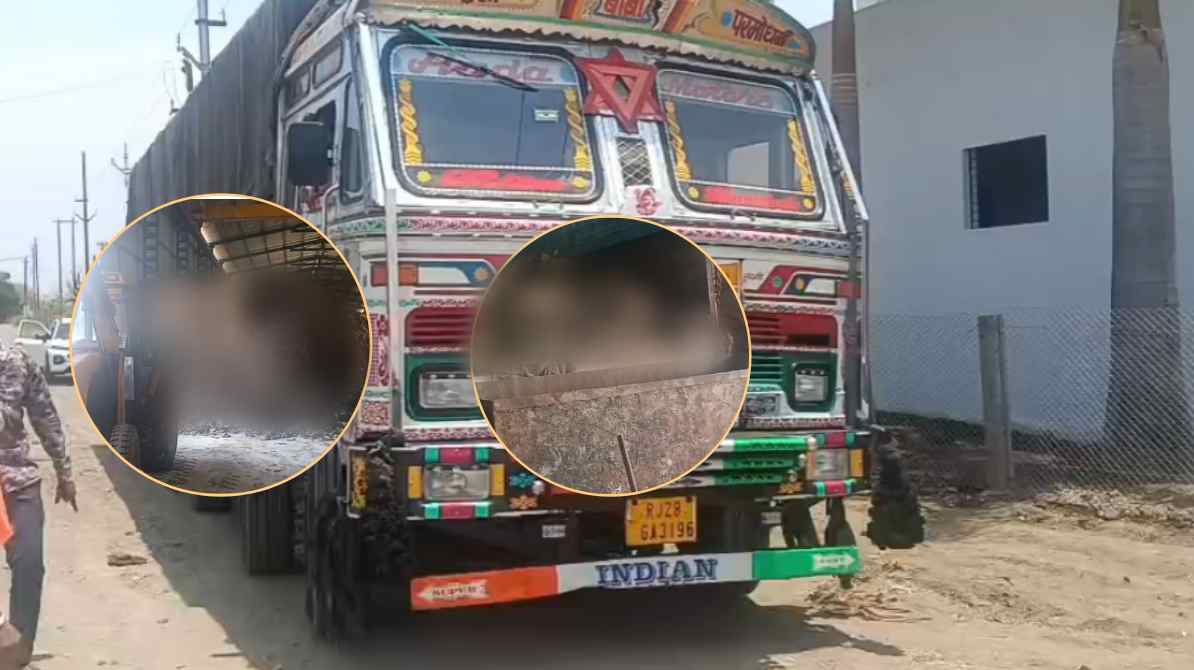 भोपाल के बाद यहां पकड़ाया गाय के चमड़े से भरा ट्रक: कोलकता से आया 350 क्विंटल बीफ, फैक्ट्री के बाहर बजरंग दल का हंगामा