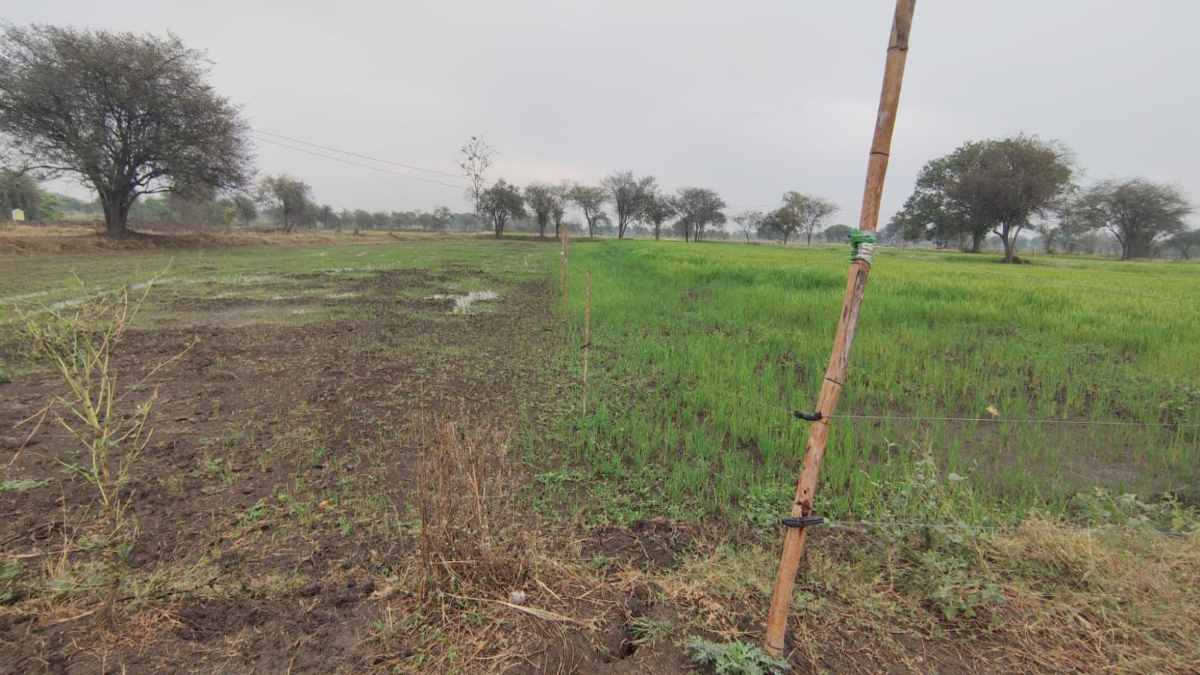 CG News : पटवारी की गलती से भड़का जमीन विवाद, कोर्ट का आदेश भी बेअसर