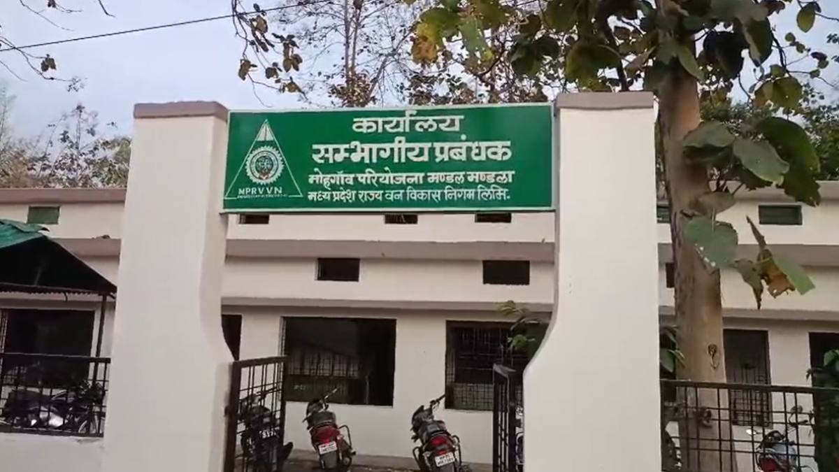 वन विभाग के डिपो में बड़ा हादसाः लकड़ी लोडिंग के दौरान मजदूर की दबने से मौत, लहूलुहान होकर गिरा