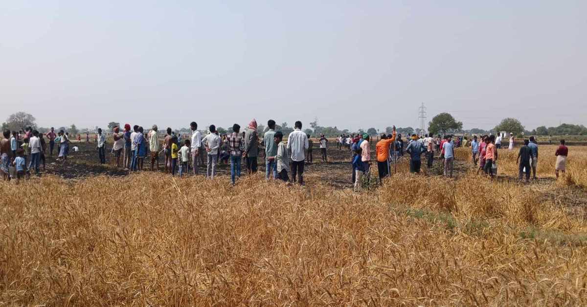 महीनों की मेहनत खाकः गेहूं के खेतों में लगी आग, 10 बीघा की फसल जलकर हुई राख, अब अन्नदाताओं के सामने रोजी-रोटी का संकट