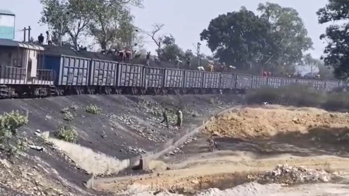 रेलवे स्टेशन पर कोयला चोरी का वीडियो वायरलः रैक पर चढ़कर 2 दर्जन लोगों ने वारदात को दिया अंजाम, संगठित गिरोह सक्रिय