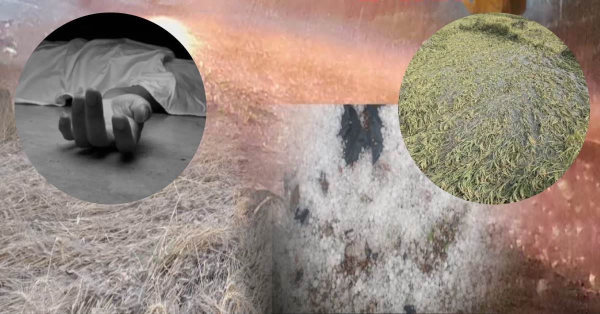 UP में आफत बरसा रही बेमौसम बारिश, किसानों को भारी नुकसान, जनजीवन भी हो रहा प्रभावित, सप्ताहभर में 20 मौत