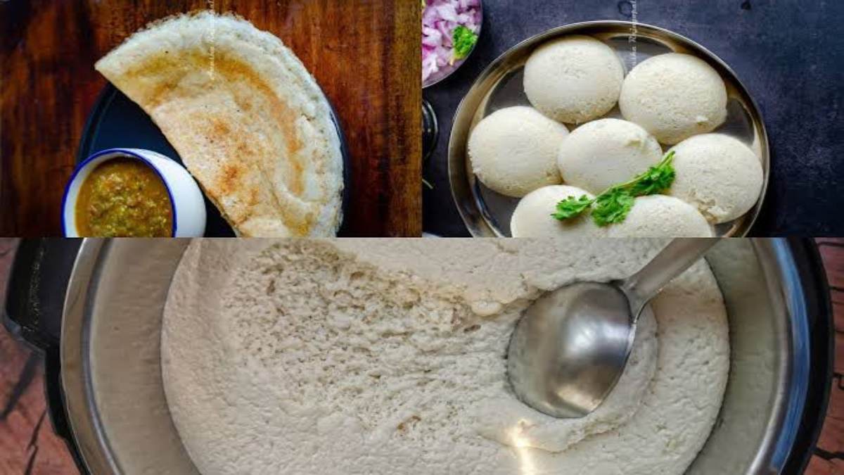 बिना सोडा और इनो के भी फूलेगी इडली, इन नेचुरल तरीके से बैटर में आएगा परफेक्ट खमीर …