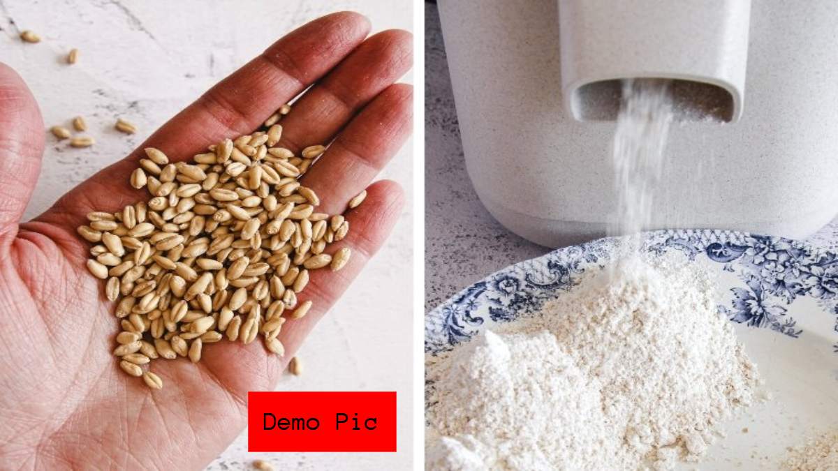 अजब-गजब मामलाः चक्कीवाले ने गेहूं को दलिया की बजाए पीस दिया आटा, ग्राहक ने विरोध किया तो कर दी पिटाई, एक दांत टूट गया, FIR दर्ज