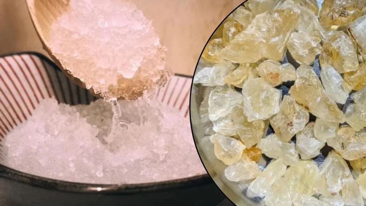 गोंद कतीरा खाते समय आगर आप भी कर रहे हैं ये गलतियां, तो फायदे की जगह हो सकता है नुकसान …