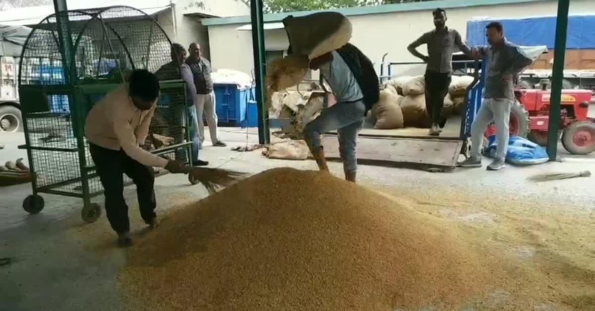 उत्तराखंड में बढ़ा गेहूं खरीदी का लक्ष्य, अब 5 लाख क्विंटल तक अनाज खरीदेगी धामी सरकार