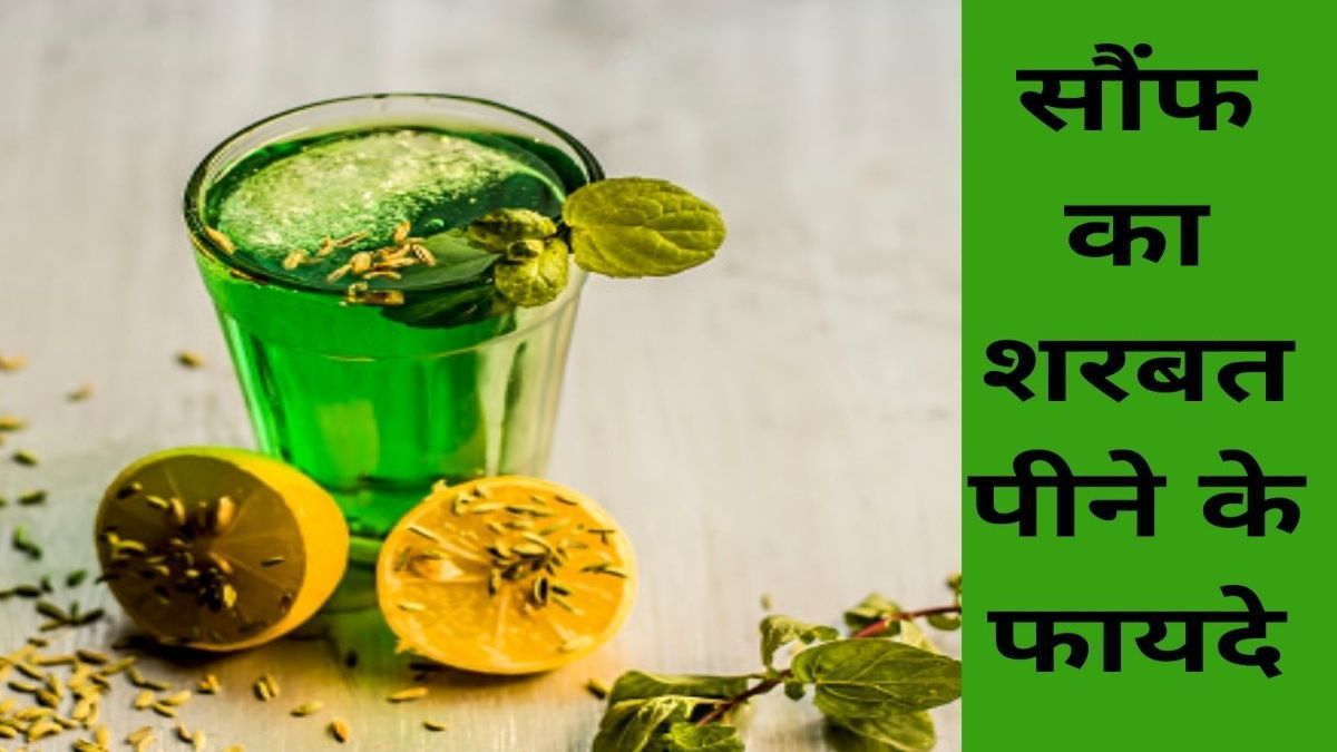 गर्मी में जरूर पिएं सौंफ का शरबत, शरीर को ठंडा रखने की बेहतरीन ड्रिंक …