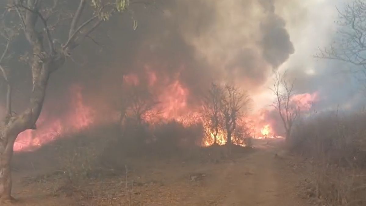 7 घंटे तक धधकता रहा देवलहा का जंगलः 20 हेक्टेयर क्षेत्र जलकर खाक, 2 वनकर्मी हुए बेहोश, अस्पताल में भर्ती