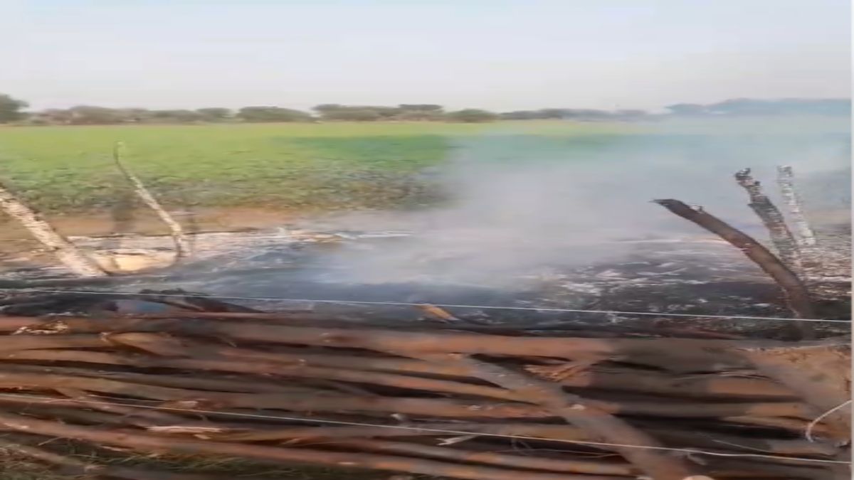 दर्दनाक हादसाः खेत में बनी झोपड़ी में आग लगने से जिंदा जला मजदूर, दूसरे की किसी तरह बची जान